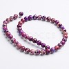 Dyed & Heated Natural Imperial Jasper Round Bead Strands X-G-M274-03-10mm-2