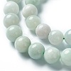 Natural Jadeite Beads Strands G-L568-001A-1