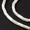 Natural Freshwater Shell Dyed Beads Strands SHEL-M018-11-12-4