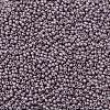 TOHO Round Seed Beads SEED-XTR11-0554F-2