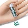 6/0 Transparent Glass Seed Beads SEED-YW0002-11B-5