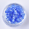 6/0 Glass Seed Beads SEED-S027-05B-04-2