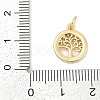 Brass Micro Pave Clear Cubic Zirconia Charms KK-G522-46G-2