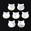 Natural White Shell Beads SSHEL-S258-99B-2