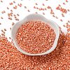 Baking Paint Glass Seed Beads X-SEED-S042-15A-03-2