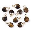Natural Tiger Eye Charms X-G-N326-58C-1