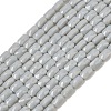 Opaque Glass Beads Strands GLAA-Z018-D19-1