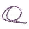 Natural Lepidolite/Purple Mica Stone Beads Strands G-M420-H12-03-3