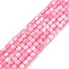 Natural Freshwater Shell Beads Strands X-SHEL-N003-33-A09-1