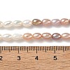 Natural Cultured Freshwater Pearl Beads Strands PEAR-C004-14B-5