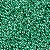 TOHO 11/0 Round Beads X-SEED-TR11-0561-2