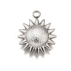 304 Stainless Steel Pendants STAS-M116-09P-1