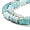 Natural Amazonite Beads Strands G-G068-A35-01-4
