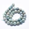 Natural Amazonite Beads Strands G-O164-02-10mm-3