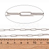 Non-Tarnish 3.28 Feet 304 Stainless Steel Paperclip Chains X-CHS-L022-02P-2
