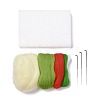 Watermelon Needle Felting Kit DIY-I091-01-2