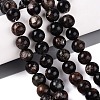 Natural Biotite Beads Strands G-Q616-01D-1