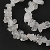 Natural Quartz Crystal Beads Strands G-G0003-B20-5