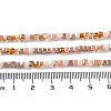 Gradient Color Electroplate Glass Bead Strands X-GLAA-E042-05-B06-5