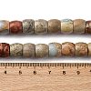 Natural Aqua Terra Jasper Beads Strands G-L624-D03-8x6mm-5