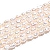 Natural Cultured Freshwater Pearl Beads Strands PEAR-T006-08-2