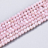 Natural Freshwater Shell Beads Strands BSHE-T009-01D-1