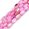 Freshwater Shell Beads Strands SHEL-T009-B15-03-1