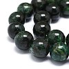 Natural Fuchsite Beads Strands G-O201A-09C-3