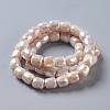Electroplate Opaque Glass Beads GLAA-F108-10B-07-2