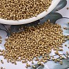 MIYUKI Delica Beads SEED-X0054-DB1832F-1