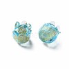 Handmade Gold Foil Lampwork Beads X-FOIL-T004-04B-2