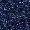 MIYUKI Round Rocailles Beads X-SEED-G008-RR2273-3