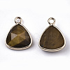 Natural Tiger Eye Charms G-N326-48B-2