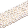 Natural Cultured Freshwater Pearl Beads Strands PEAR-N024-02-4AB-2