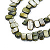 Natural Trochid Shell/Trochus Shell Beads Strands SHEL-S258-082-B01-3