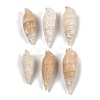 Natural Spiral Shell Beads SHEL-K009-17B-1