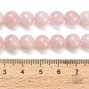 Natural Morganite Beads Strands G-H329-C11-8mm-5