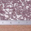 MIYUKI Delica Beads Small SEED-X0054-DBS0728-4