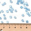 Glass Seed Beads SEED-H002-D-A811-4