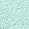 6/0 Glass Seed Beads SEED-L011-08A-14-3