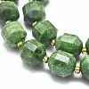 Natural Diopside Beads Strands G-K303-A10-12mm-3