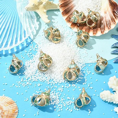 5Pcs Natural Sea Shell Pendants SSHEL-YW0001-11-1
