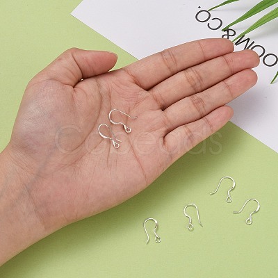 925 Sterling Silver Earring Hooks STER-G011-09-1