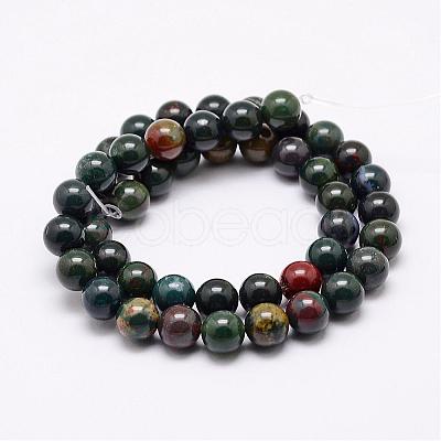 Natural Indian Bloodstone Beads Strands G-P257-07-8mm-1