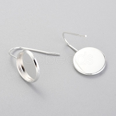 304 Stainless Steel Earring Hooks STAS-F227-22C-S-1