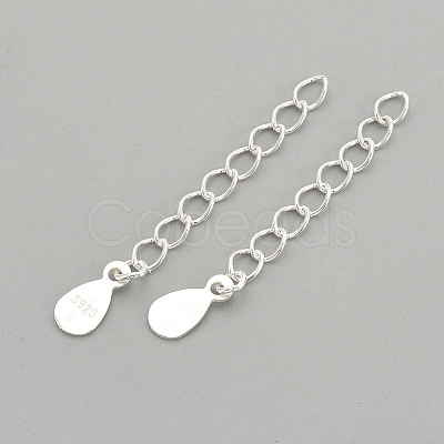 925 Sterling Silver Twisted Extender Chains STER-S002-33-1