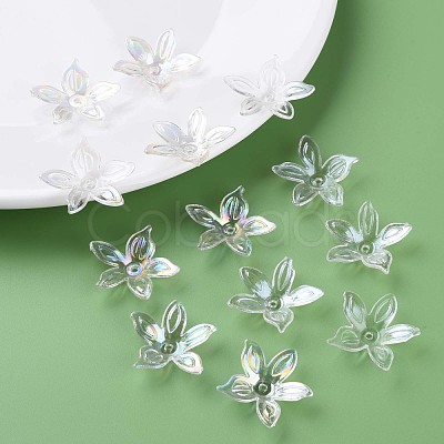 Transparent Acrylic Beads MACR-S373-102-C07-1