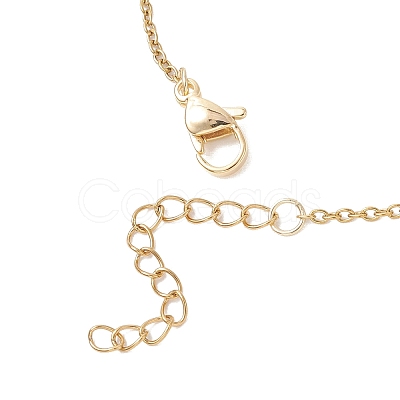 Shell Pearl Graduated Round Beaded Pendant 304 Stainless Steel Cable Chain Necklaces for Women NJEW-JN05748-1