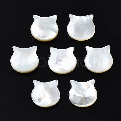 Natural White Shell Beads SSHEL-S258-99B-1