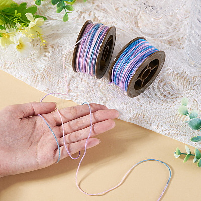 2 Rolls 2 Colors Segment Dyed Round Polyester Twisted Cords OCOR-TA0003-59B-1
